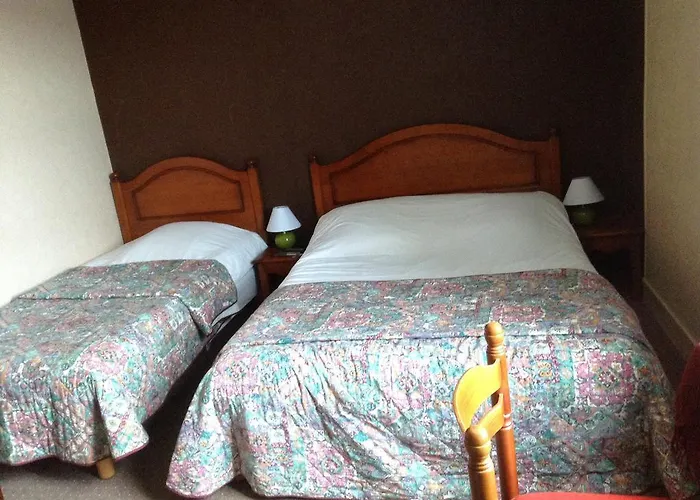 ホテル Du Cygne 2*